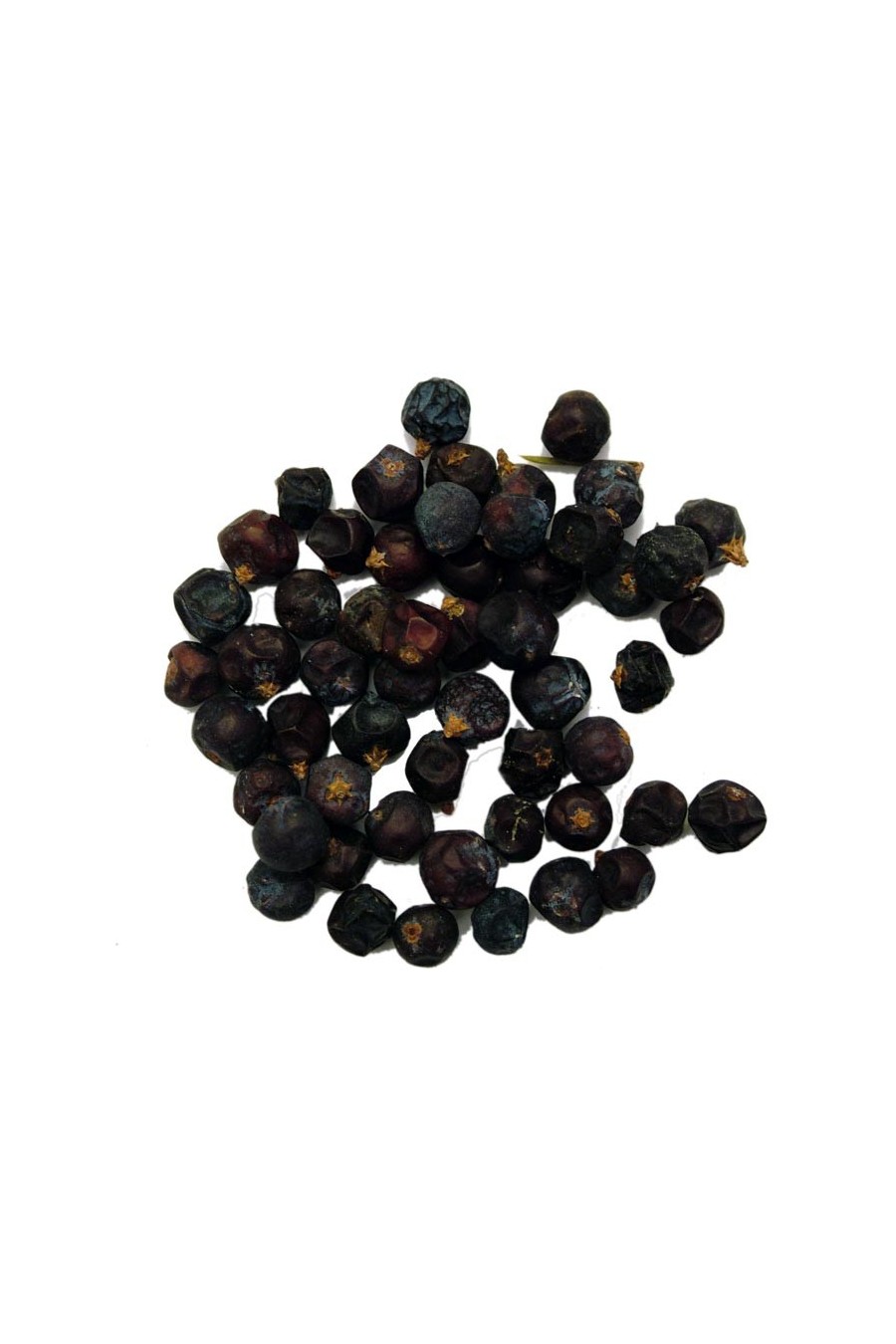 Ginepro Bacche (Juniperus communis)