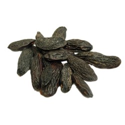 Tonka Beans (Dipteryx odorata), Simple Incenses, Seeds and Roots