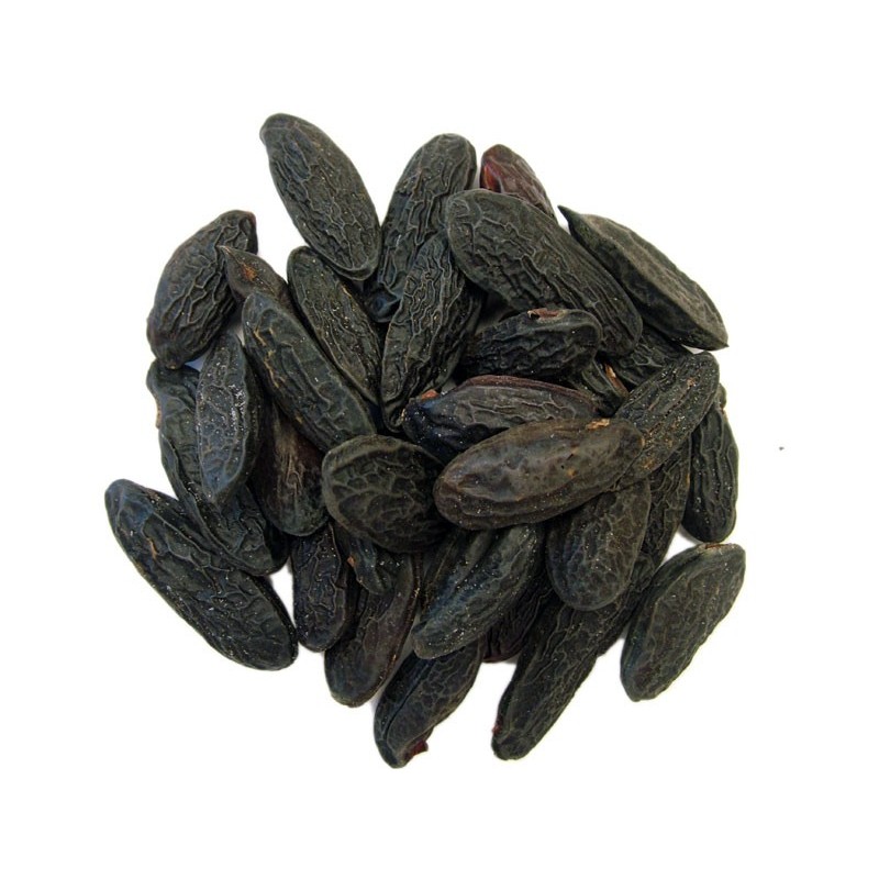 Tonka Beans (Dipteryx odorata), Simple Incenses, Seeds and Roots