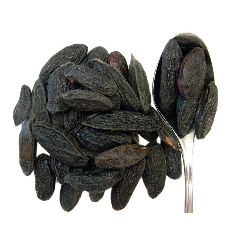 Tonka Beans (Dipteryx odorata), Simple Incenses, Seeds and Roots