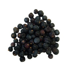 Juniper Berries (Juniperus communis), Seeds and Roots