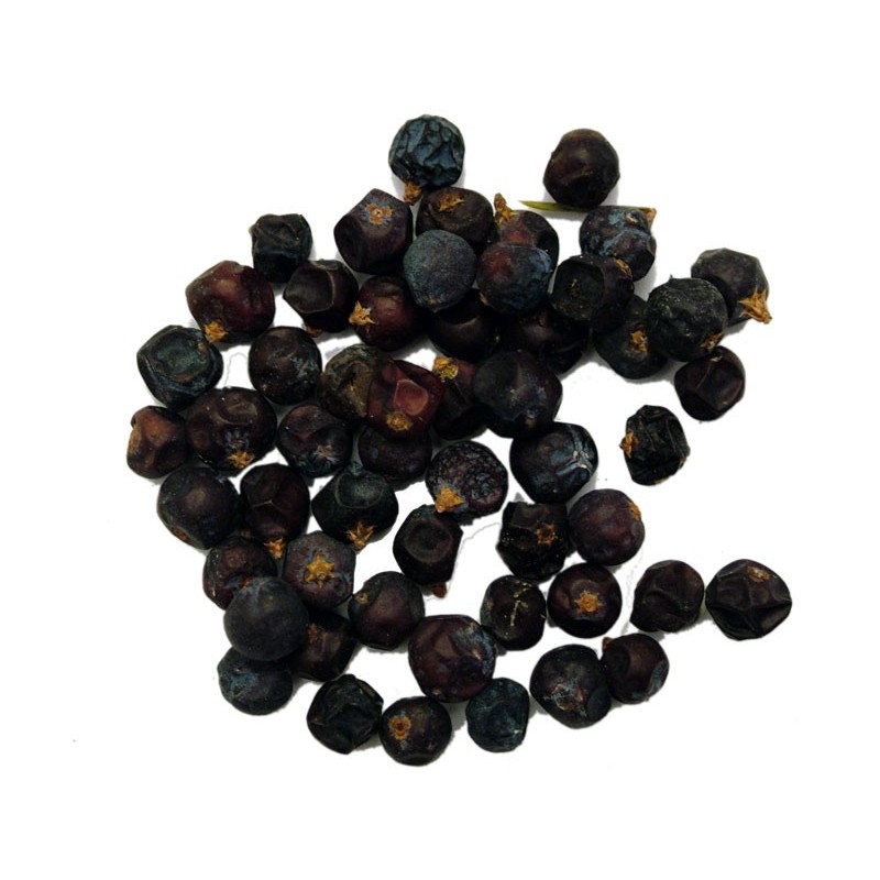 Juniper Berries (Juniperus communis), Seeds and Roots