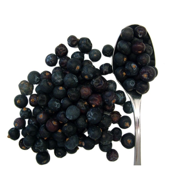 Juniper Berries (Juniperus communis), Seeds and Roots