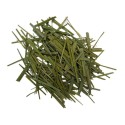 Sweetgrass (Hierochloe odorata), Simple Incenses, Plants and Woods