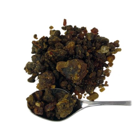 Basic Incenses, Resins, Guggul (Commiphora mukul)