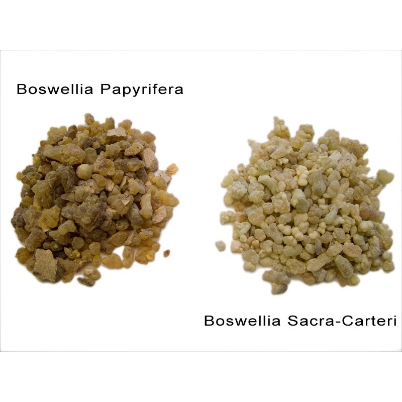 Incenso (Boswellia Papyrifera), Incensi semplici, Resine