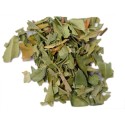 Myrtle (Myrtus communis), Simple Incenses, Plants and Woods