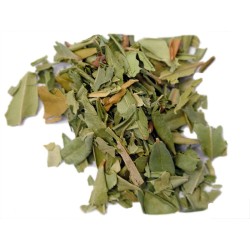 Myrtle (Myrtus communis), Simple Incenses, Plants and Woods