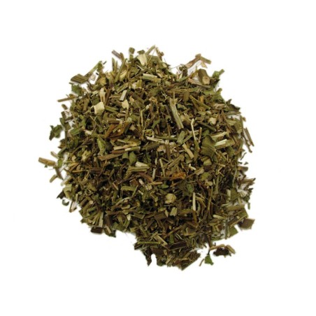 Verbena (Verbena Officinalis), Simple Incenses, Plants and Woods