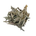 White Sage (Salvia apiana), simple Incenses, Plants and Woods