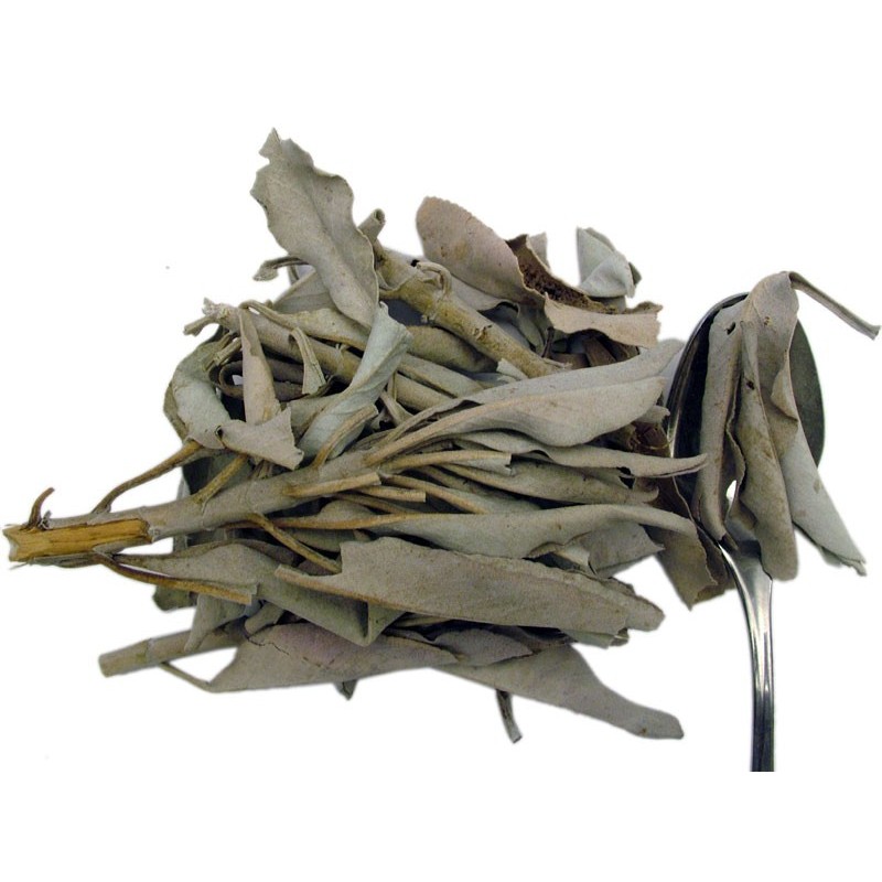 White Sage (Salvia apiana), simple Incenses, Plants and Woods