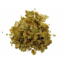 Luppolo (Humulus lupulus), Incensi semplici, Piante e Legni