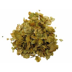 Luppolo (Humulus lupulus), Incensi semplici, Piante e Legni